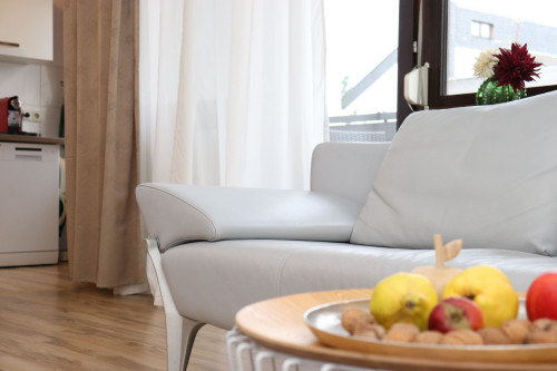 Fashionable, amazing flat in Mainz - Gallery - 19