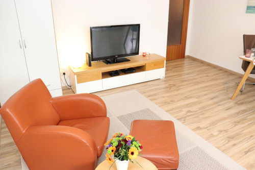 Fashionable, amazing flat in Mainz - Gallery - 28