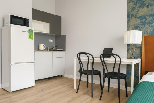 Neat studio in Ochota