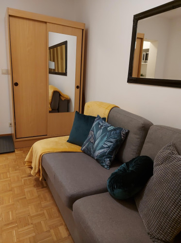 Comfy studio in the Praga neighbourhood