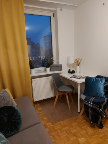 Comfy studio in the Praga neighbourhood