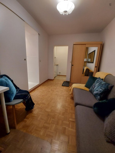 Comfy studio in the Praga neighbourhood