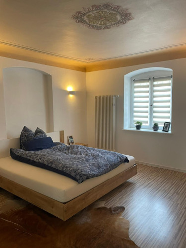 Amazing and beautiful loft located in Dresden