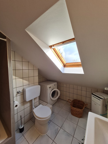 Cosy attic flat near the university