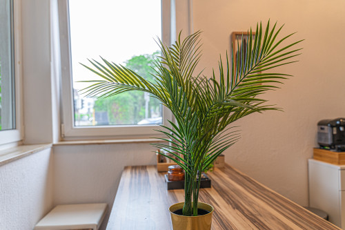 Central & quiet apartment with terrace – ideal for a trip to Cologne - Gallery - 11