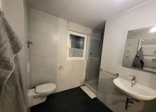 Furnished house in Darmstadt
