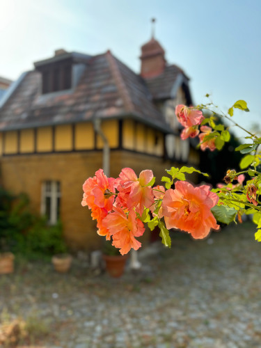 Renovated Historic Farmhouse in Teltow - Gallery - 11