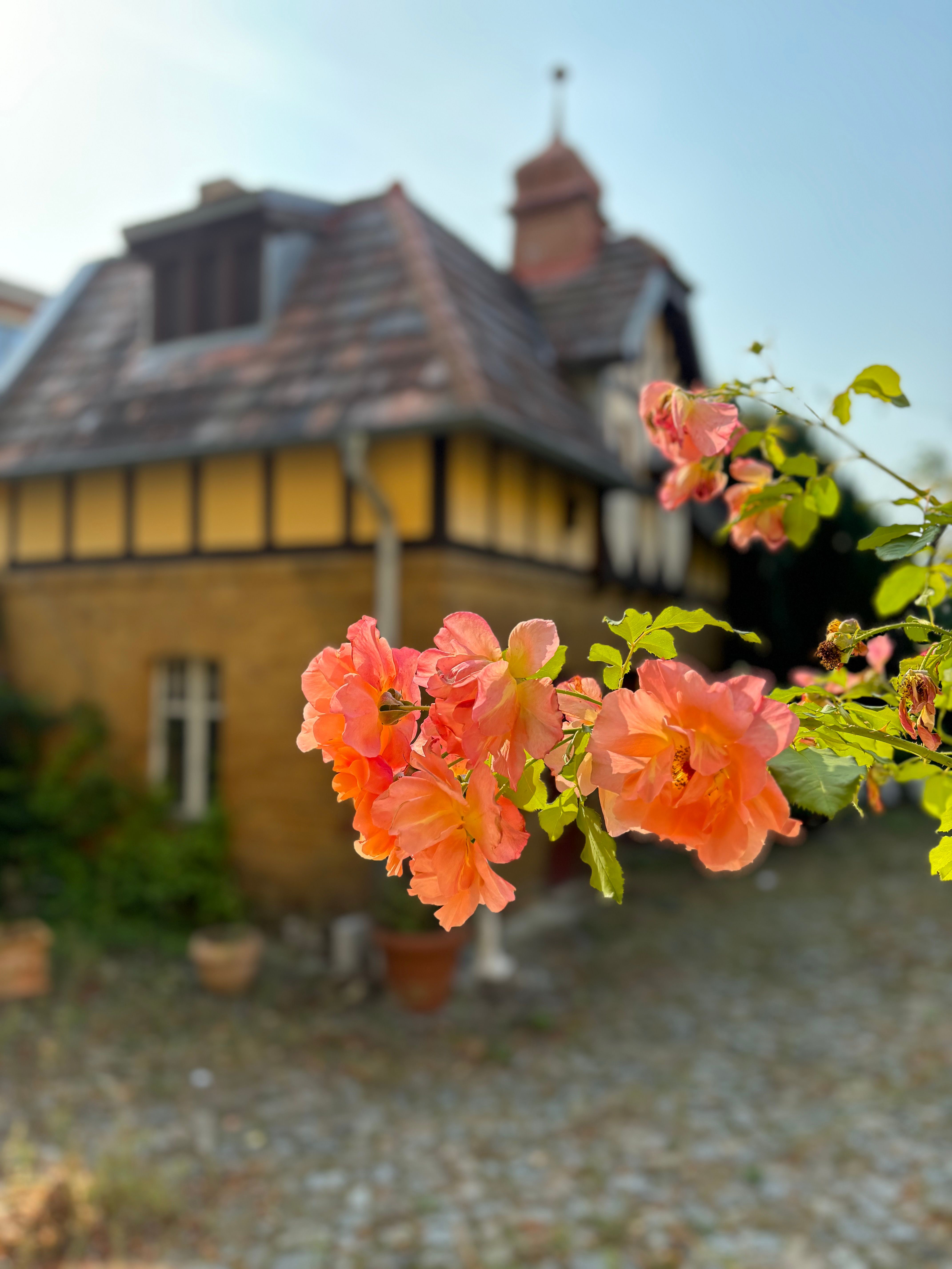 Renovated Historic Farmhouse In Teltow - 1