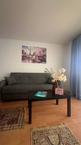 Finest and lovingly furnished temporary flat in Wiesbaden