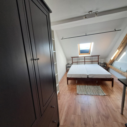 charming flat Mühle 6 in centrum of Chemnitz