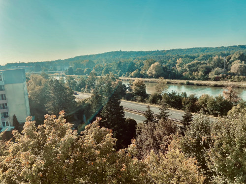 Großzügige 2 Zimmer Wohnung mit zwei Balkonen und einem wunderschönen Blick im Dambach.