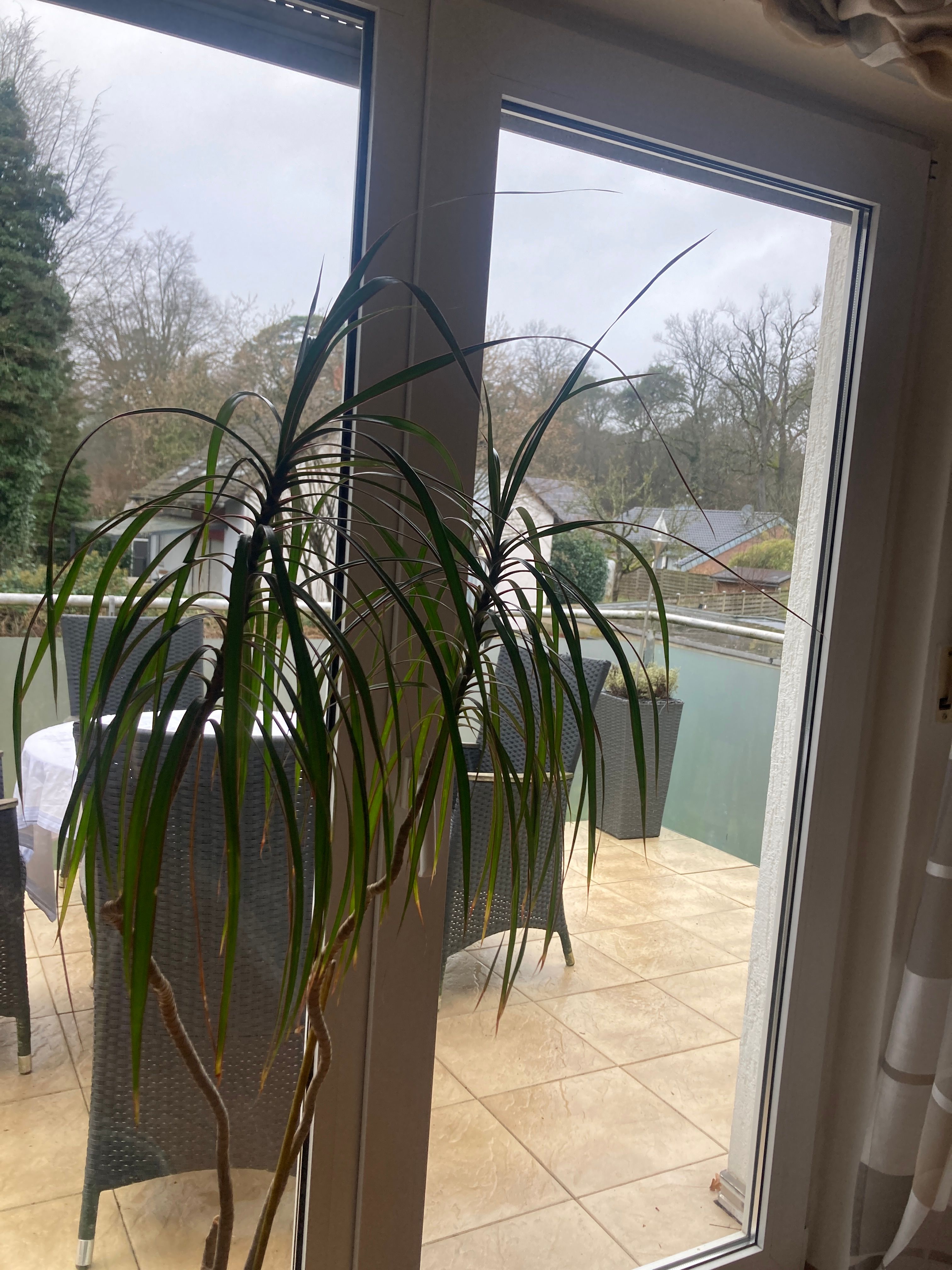  Perfect And Wonderful Apartment Located In Rösrath-Kleineichen  -  Perfect and wonderful apartment located in Rösrath-Kleineichen  - Gallery -  5