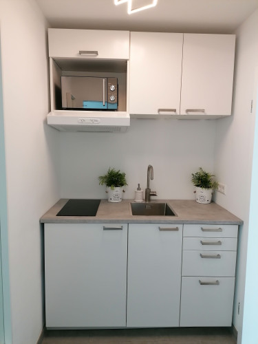 Sunny 2-room loft with roof terrace in a great location—central & surrounded by greenery