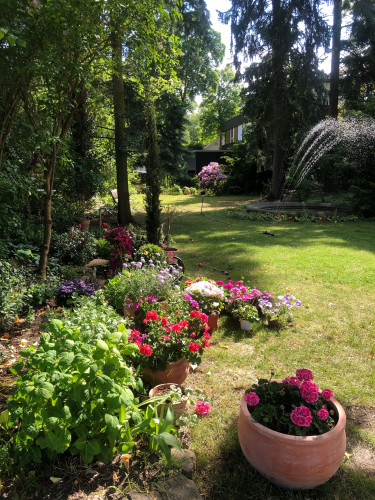 Quiet villa floor with sun terrace and garden on the Teltow Canal, 13km from Berlin - Gallery - 15