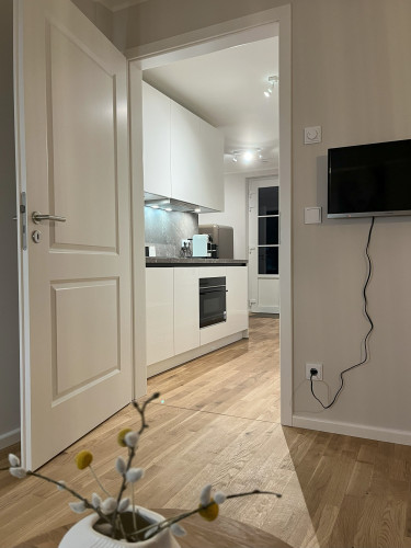 Modern Apartment Opposite Sanssouci Park – Sleeps 2 Adults - Bedroom / Living Room / Study Room / Kitchen - Gallery - 25