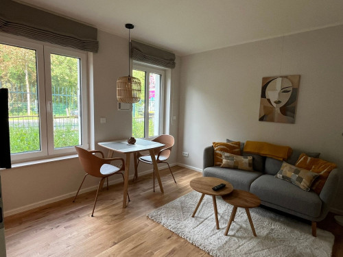 Modern Apartment Opposite Sanssouci Park – Sleeps 2 Adults - Bedroom / Living Room / Study Room / Kitchen - Gallery - 9