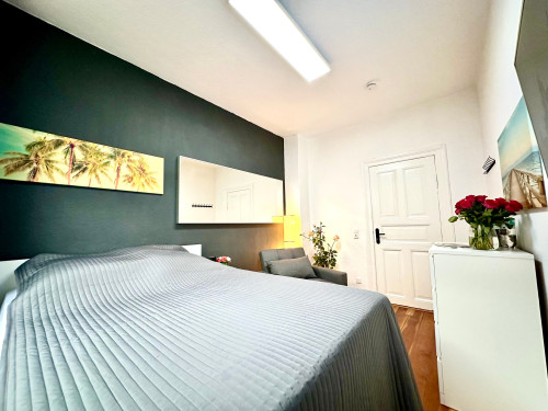 Refurbished 1 room apartment in Kiel city - Gallery - 14