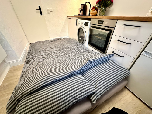 Refurbished 1 room apartment in Kiel city - Gallery - 6