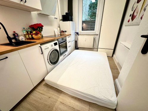 Refurbished 1 room apartment in Kiel city - Gallery - 7