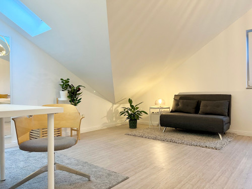 New Spacious, cute flat next to Hamburg