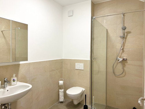 New Spacious, cute flat next to Hamburg
