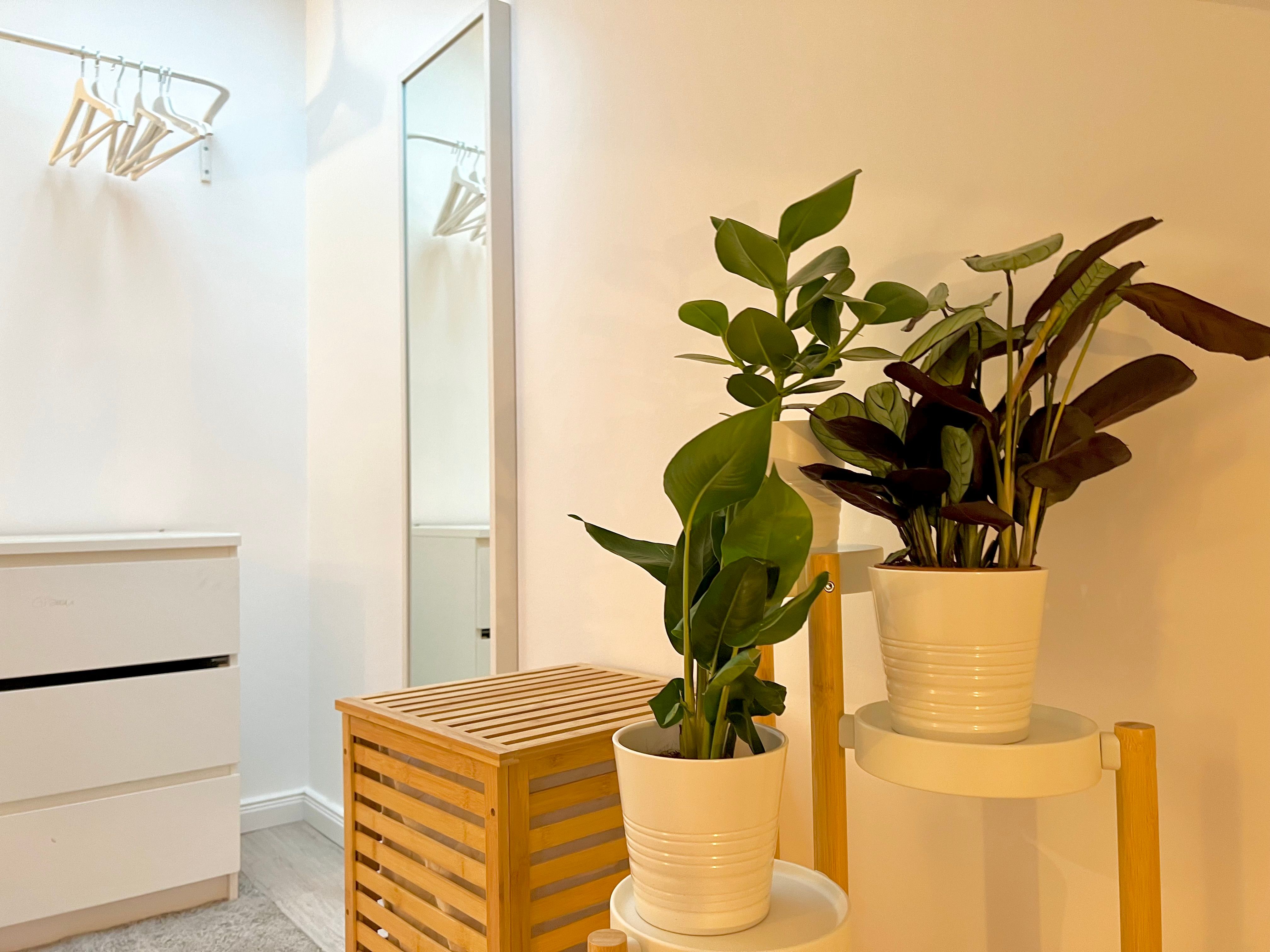 New Spacious, Cute Flat Next To Hamburg - New Spacious, cute flat next to Hamburg - Gallery - 7