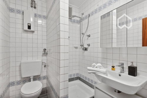 Luxurious, charming flat in Wiesbaden - Gallery - 13