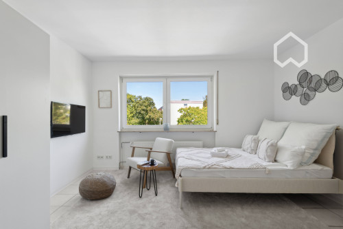 Luxurious, charming flat in Wiesbaden - Gallery - 2
