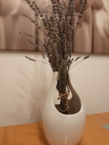 Live quietly between two state capitalsBerlin and Potsdam).