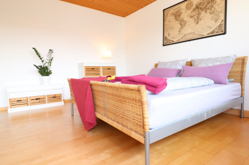 Amazing, nice flat with nice neighbours - Gallery - 19