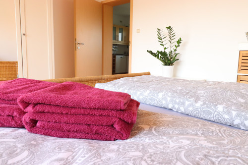 Amazing, nice flat with nice neighbours - Gallery - 14