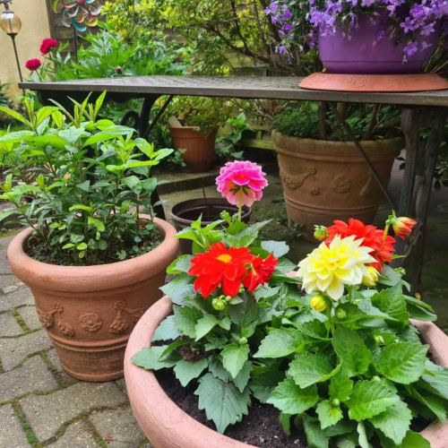 Cozy, wonderful suite in Bochum - Gallery - 46