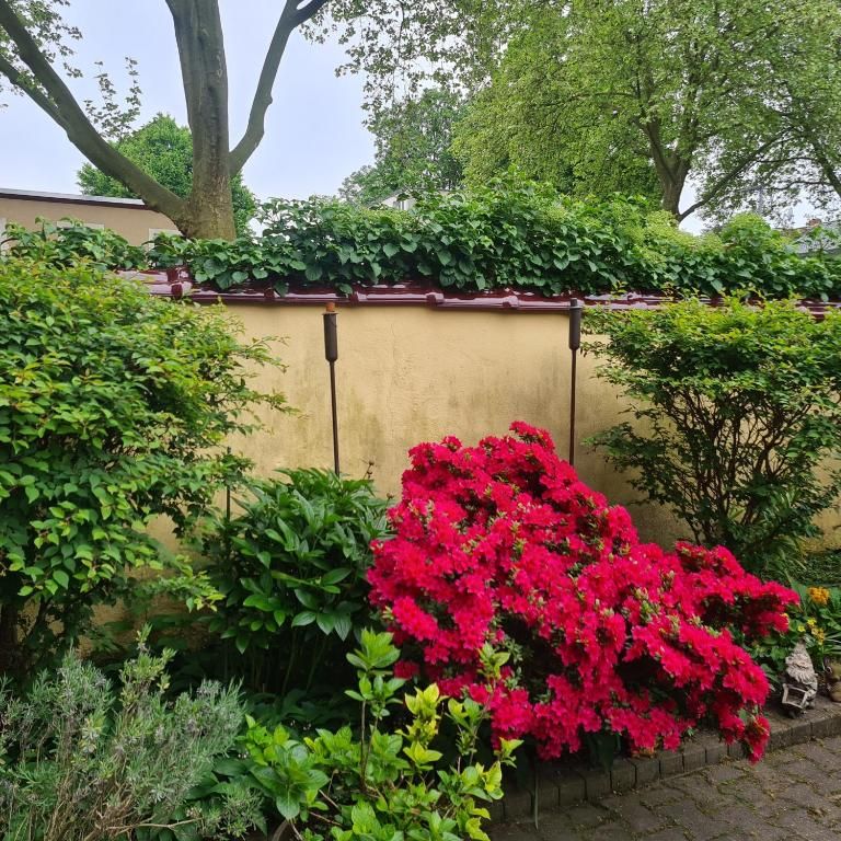 Cozy, Wonderful Suite In Bochum - 4