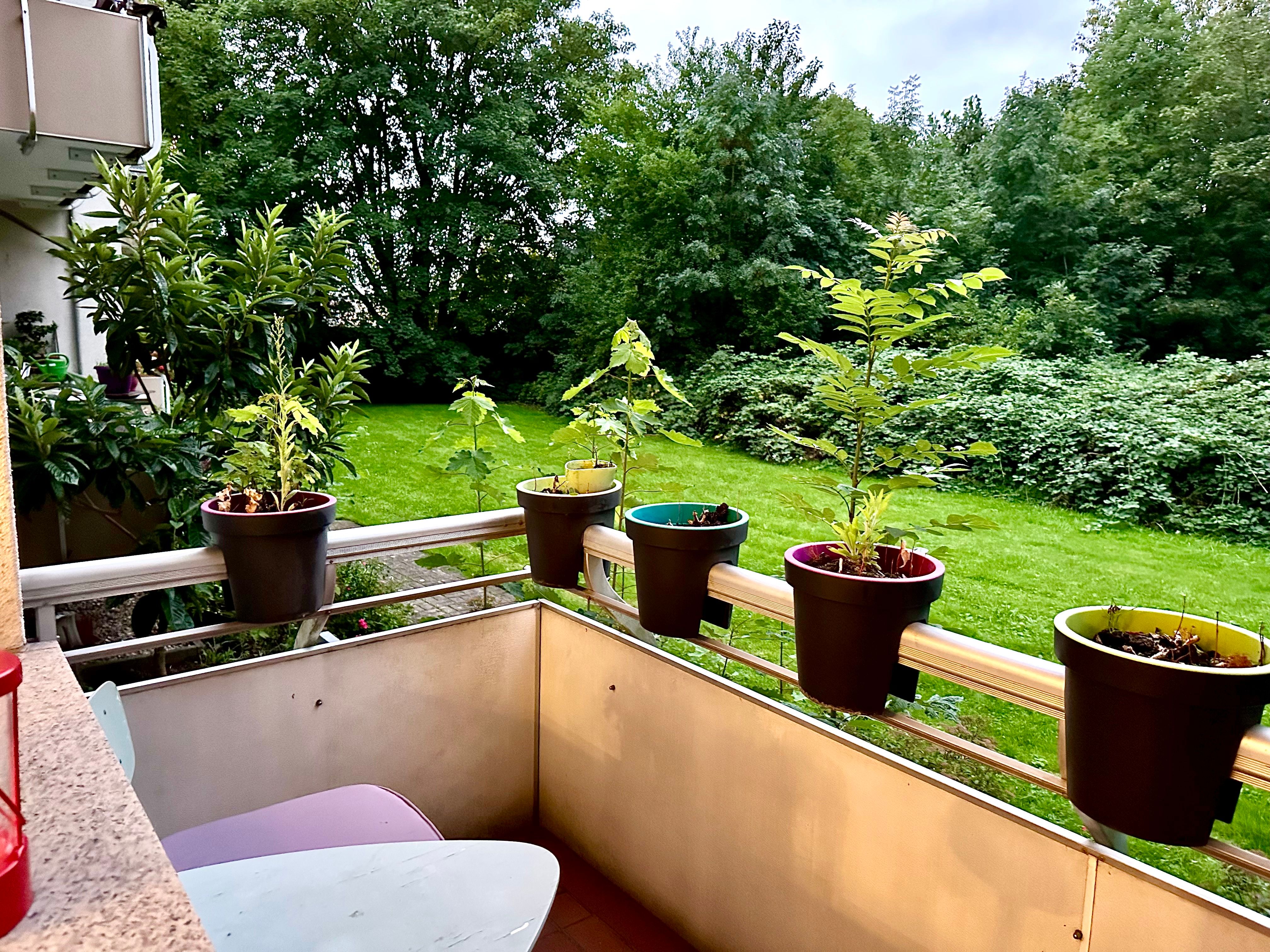 Nice & Wonderful Suite In Krefeld - Nice & wonderful suite in Krefeld - Gallery - 5