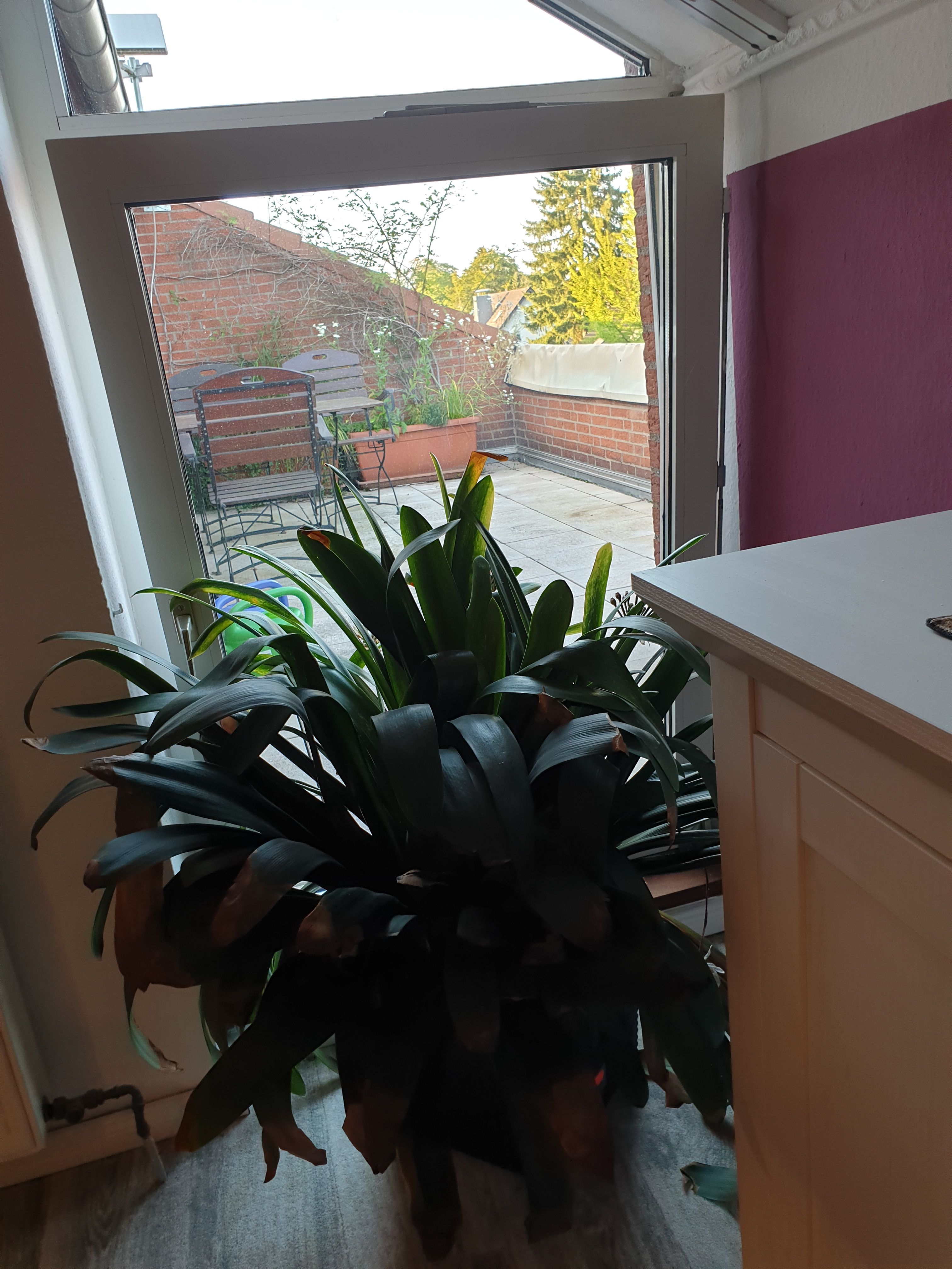 Charming And Cute Flat In Bergisch Gladbach - Charming and cute flat in Bergisch Gladbach - Gallery - 12