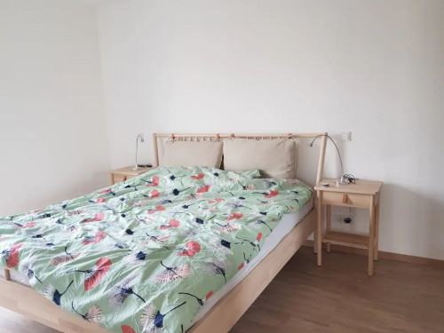 Apartmen near Rhine, not far from city center and Dome  - Gallery -  5