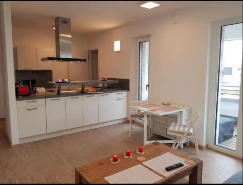 Apartmen near Rhine, not far from city center and Dome