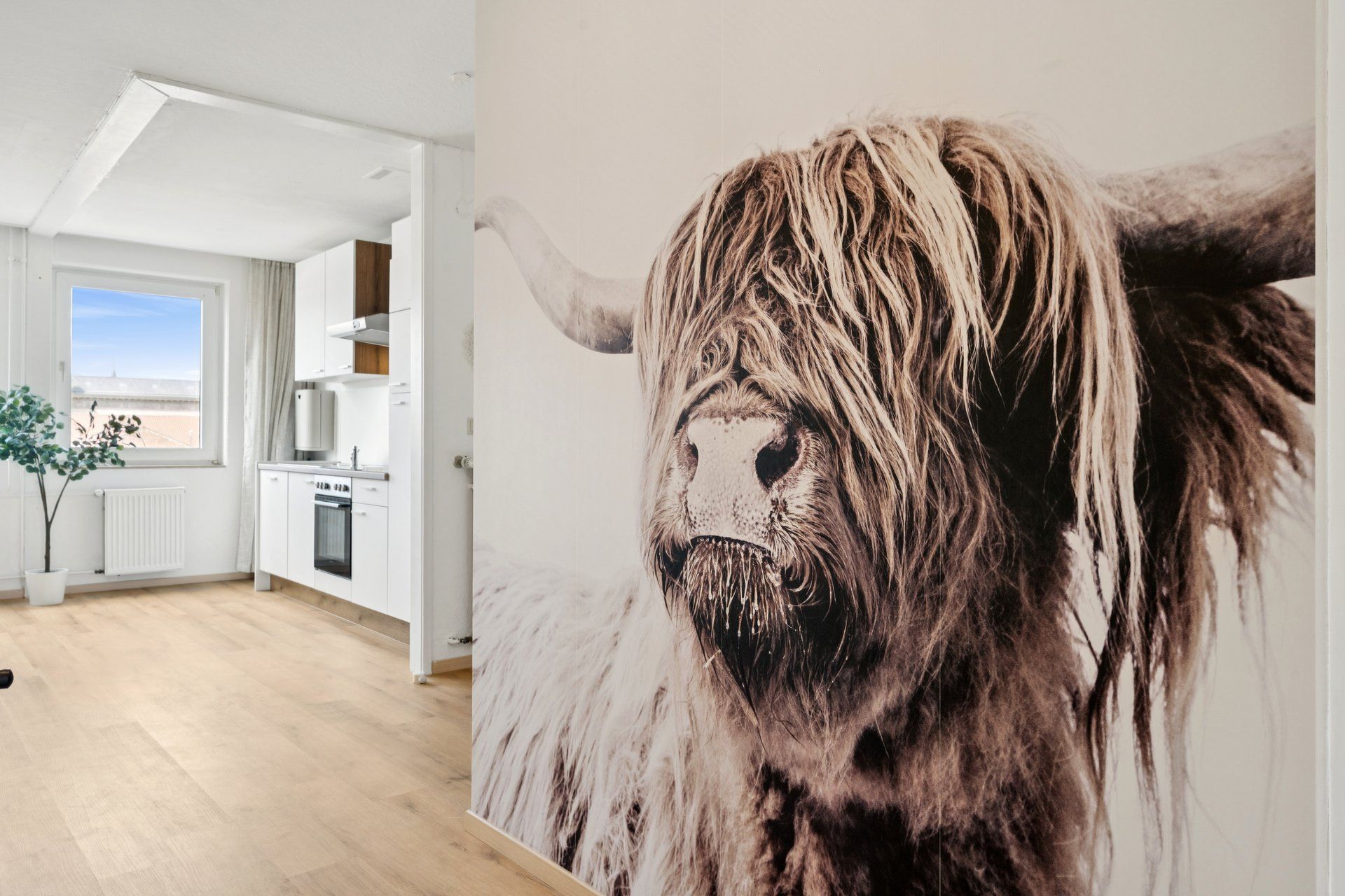  Hellohome • Castle View Apartment • Winter Garden  -  Hellohome • Castle View Apartment • Winter Garden  - Gallery -  18