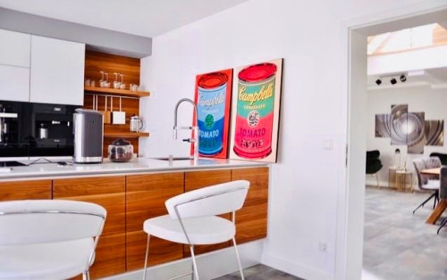 Luxurious penthouse with roof terrace in the old town