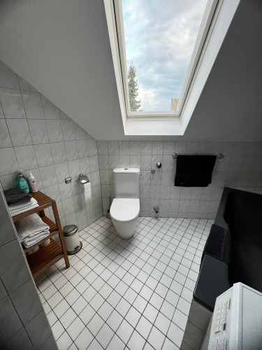 Rooftop Flat in Krefeld next to Main Train Station