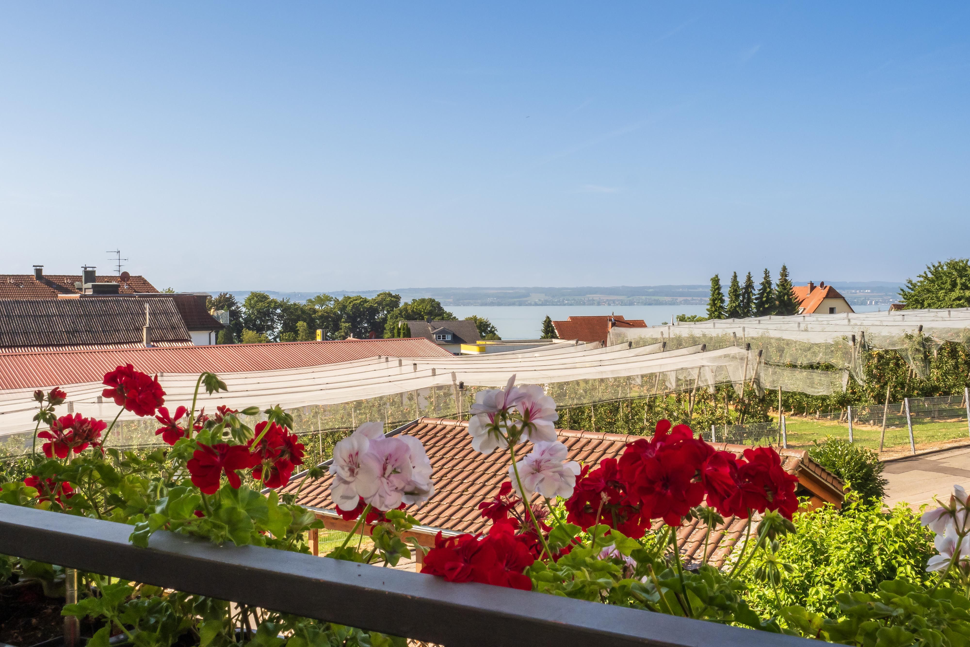Übersetzung (Englisch): Panorama Apartment Meersburg – Boutique-Inspired Design & Smart Living - 12