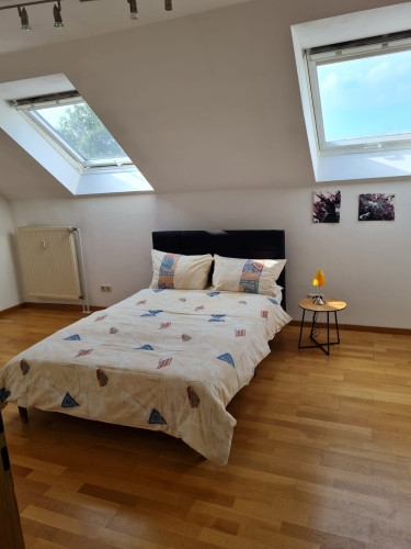 Modern home (Augsburg) - Gallery - 11