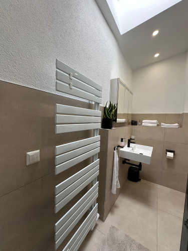 Modern, renovated, and fully furnished (2025) 2.5-room apartment in luxurious penthouse style with garage – ideal for company employees - Gallery - 8