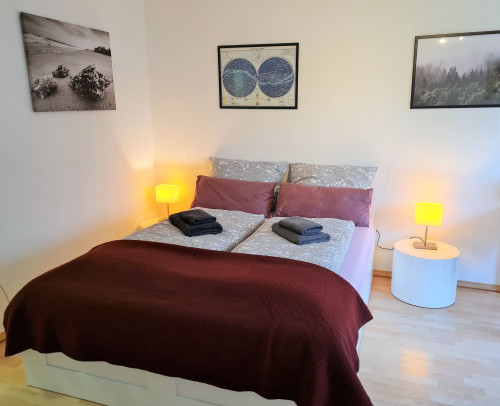 Bright, cozy apartment near the university - Gallery - 11