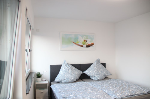 Charming, cute flat in Düsseldorf - Gallery - 8