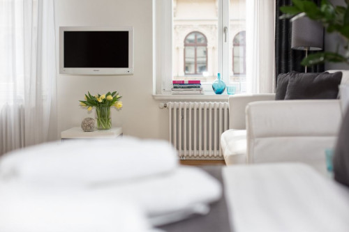 large 2-room apartment in the beautiful music district