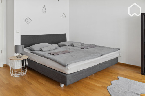 Fashionable & cozy studio in Dresden