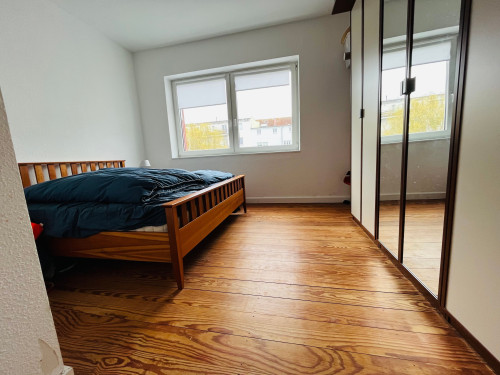 Spacious Appartment City Center