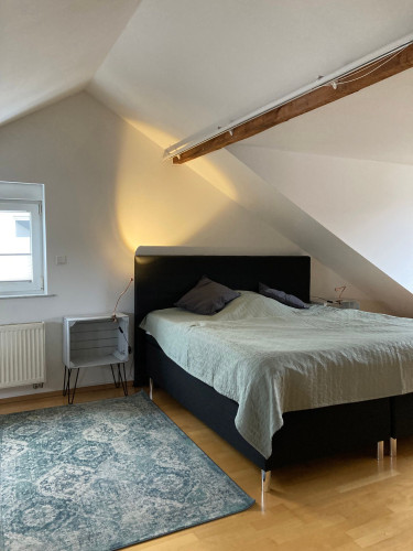 Lovely & fantastic loft located in Hagen