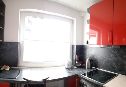 4 Rooms apartment in Braunschweig Close to Airport, DLR and VW